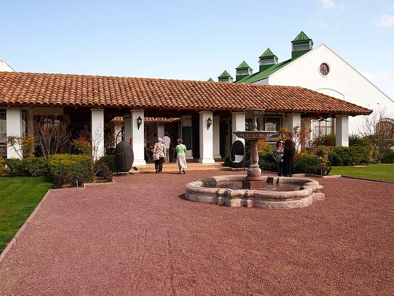 De Dumphasizer - Viña Casas del Bosque,