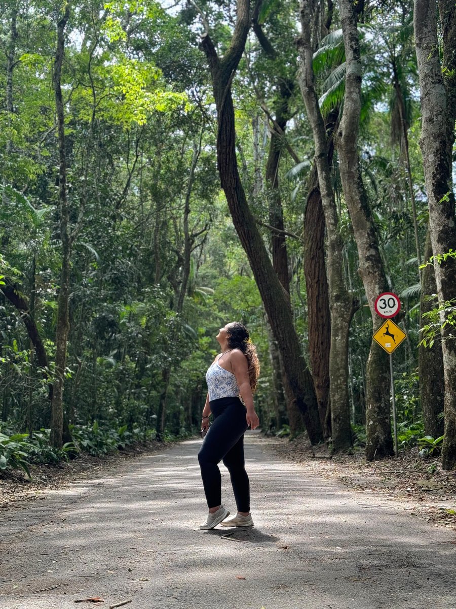 Floresta da Tijuca