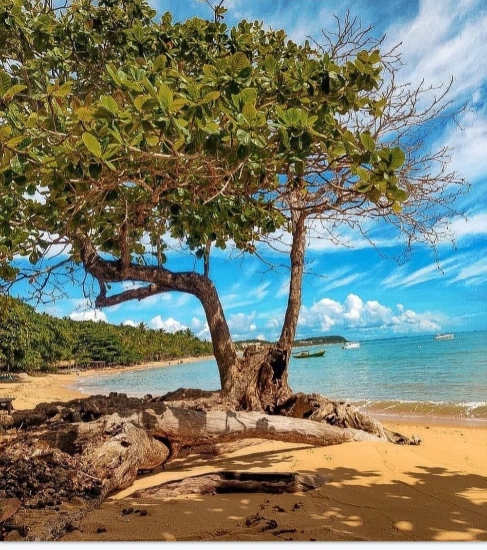 praia do espelho 