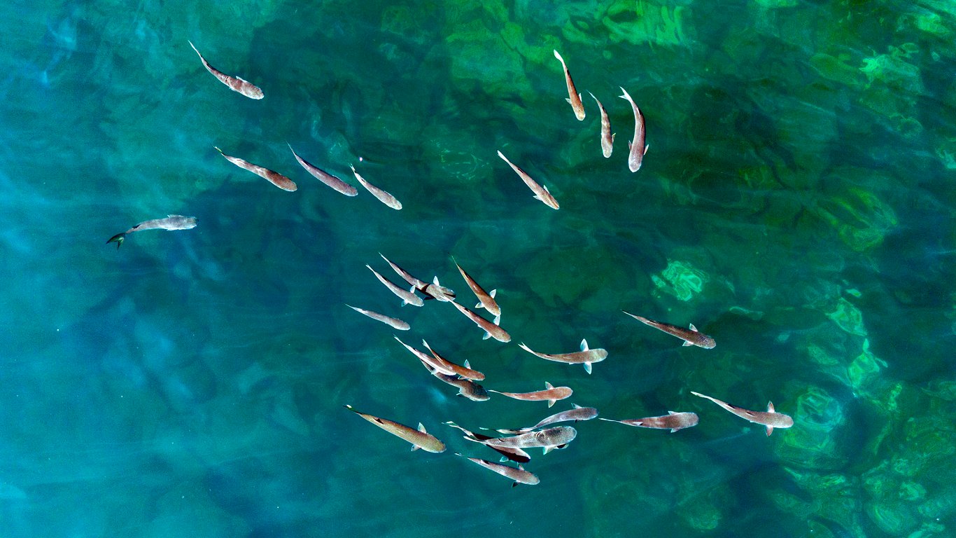 Snorkeling em Ubatuba