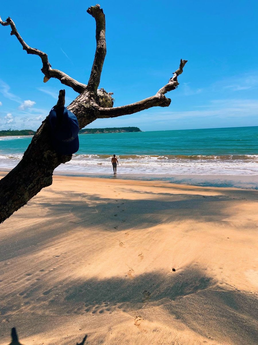 A paz aqui reina 