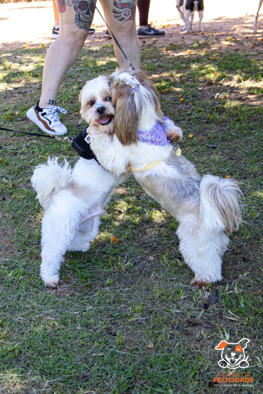 Fazenda Nossa Senhora Conceição pet friendly Jundiaí