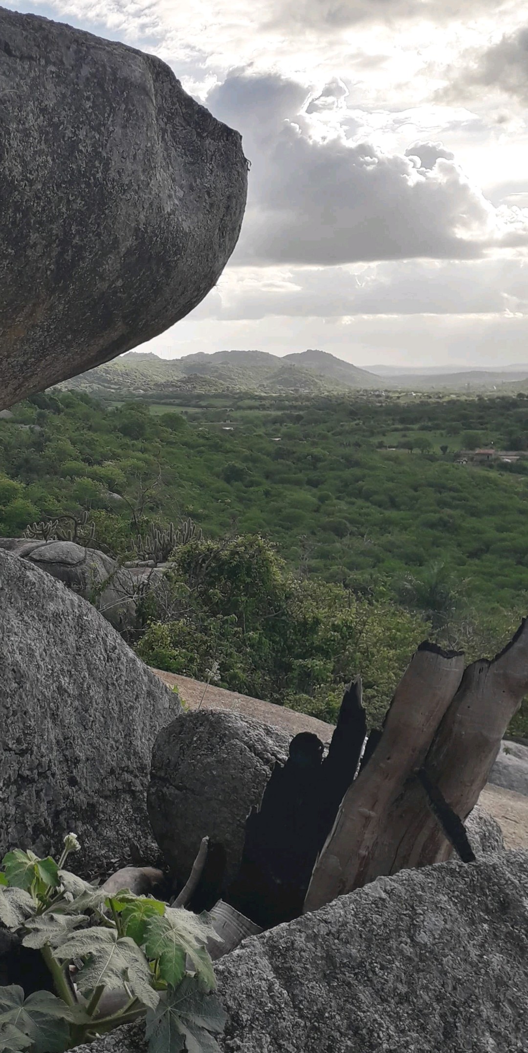 Pedra da Tartaruga 