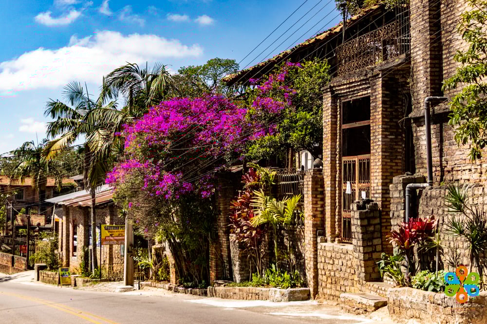 21/01 Arautos do Evangelho, O Velhão 