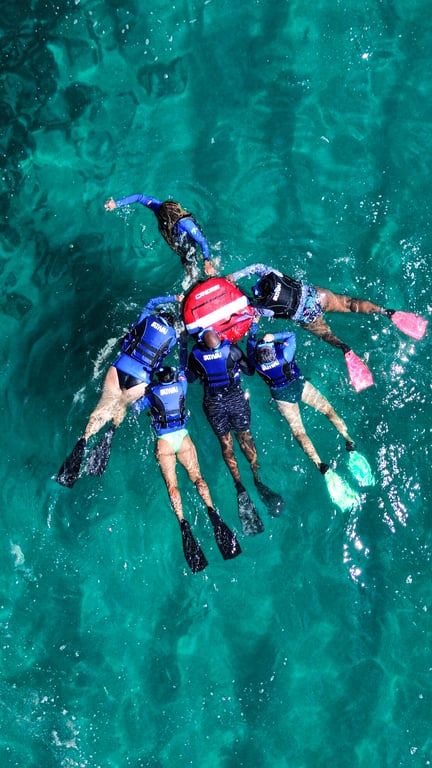 Snorkel com Tartarugas em Arraial do Cabo