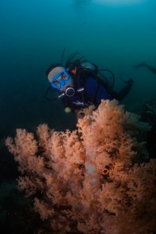Mergulho para Credenciados em Arraial do Cabo