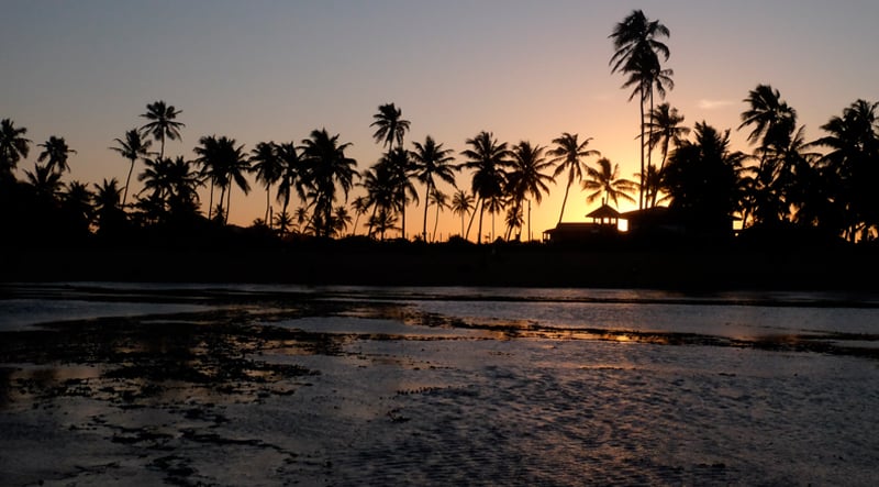 Passeio Praia do Forte e Guarajuba - Diário