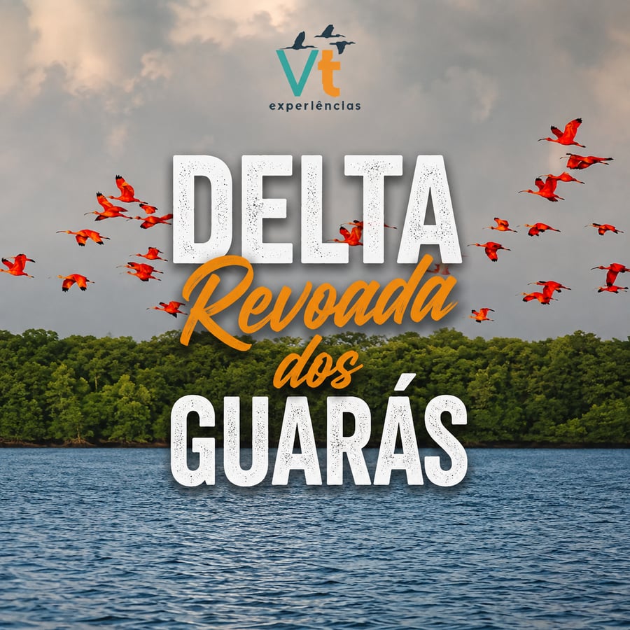 revoada dos guarás