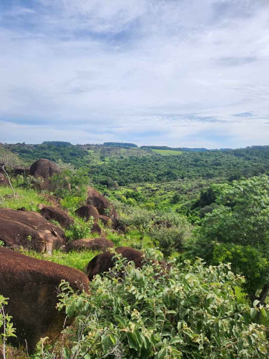 Ter esse visual como presente 