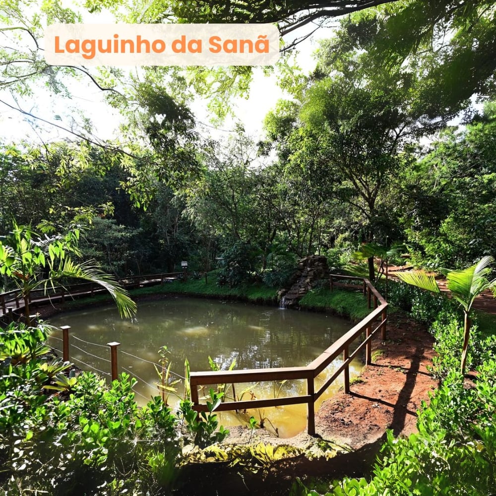 Mata Santa Genebra - laguinho da Sanã