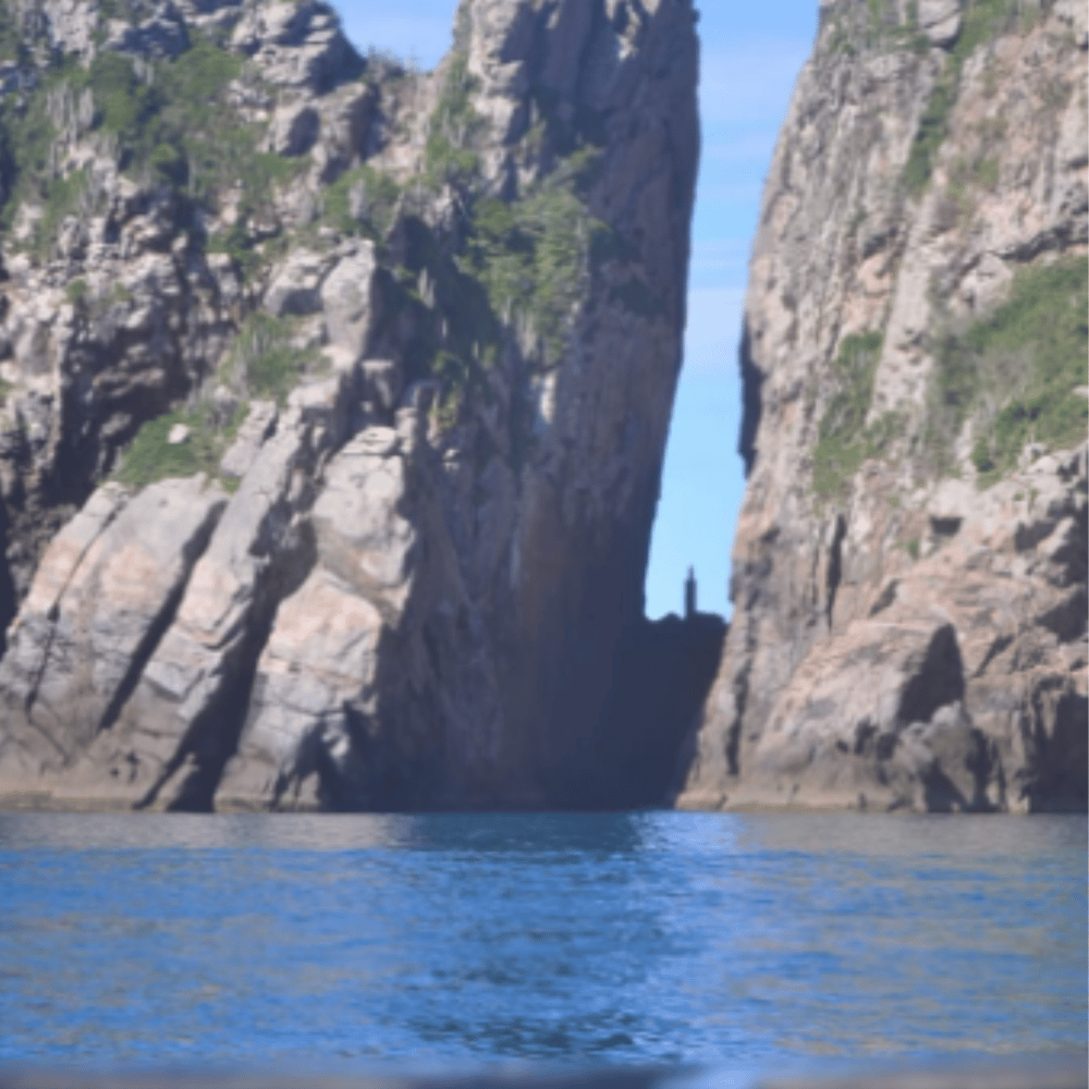 Passeio De Barco
