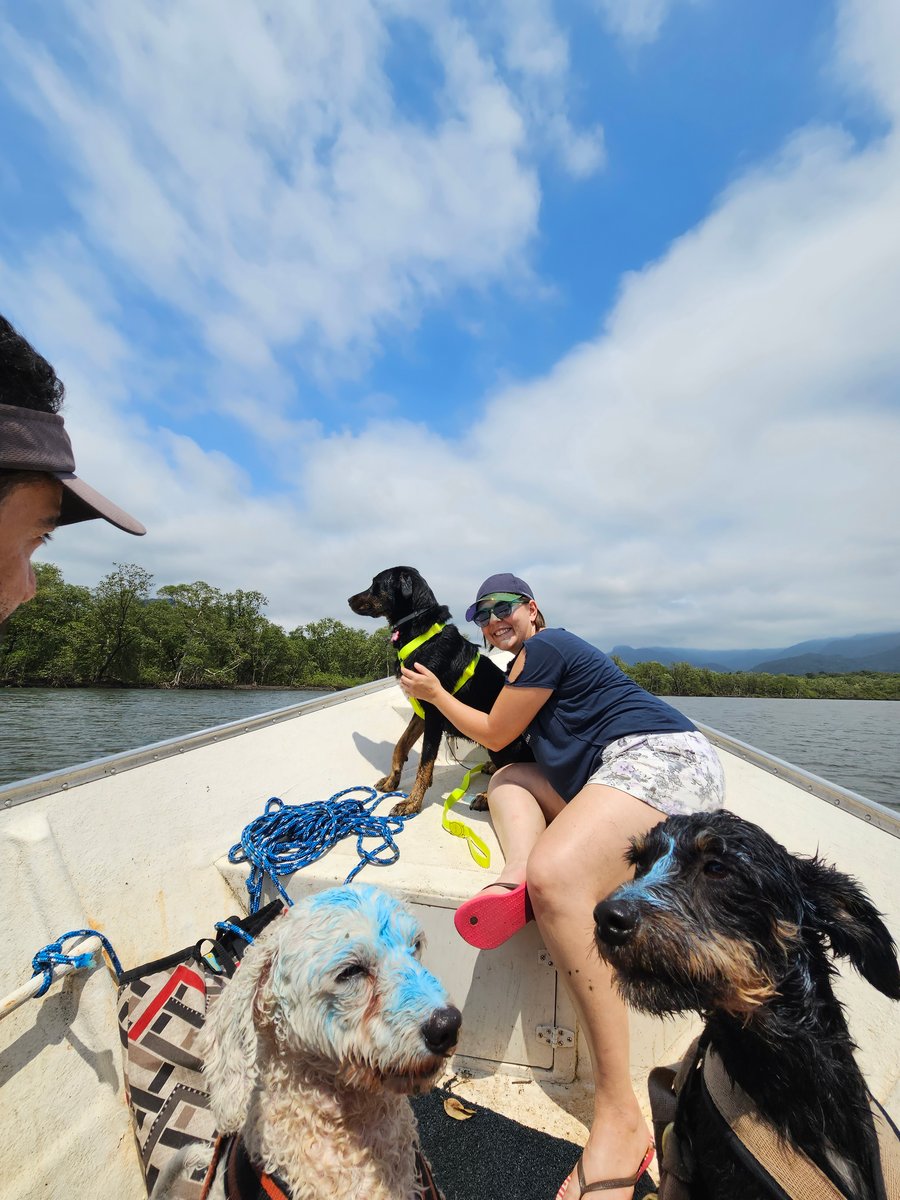 Aventura na praia Peruíbe pet friendly trilha, barco, pousada 