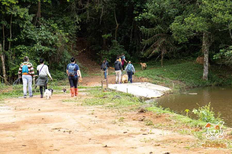 Fazenda Nossa Senhora Conceição pet friendly Jundiaí