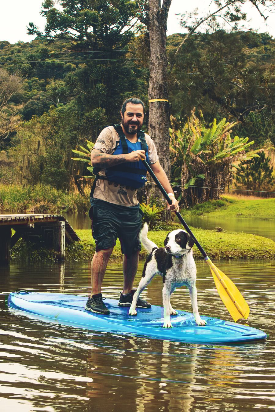 ensaio fotográfico com pet