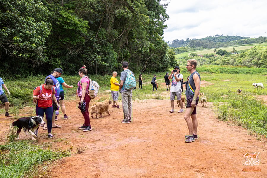 Fazenda Nossa Senhora Conceição pet friendly Jundiaí