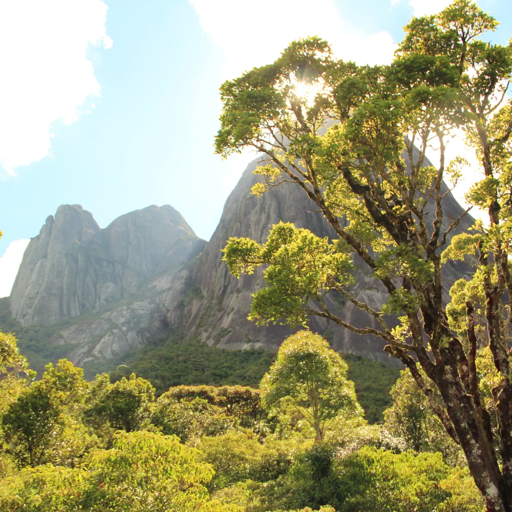 Parque Estadual dos Tres Picos - Kmon Adventure