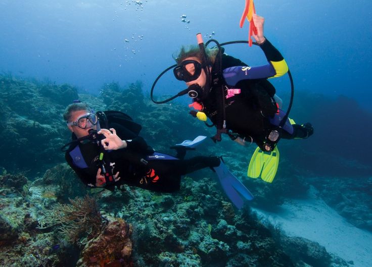 Buceo en Arraial do Cabo