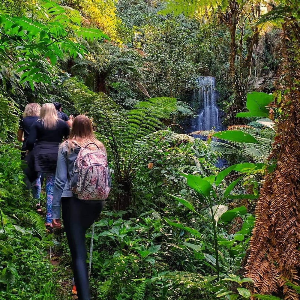 Trilha das Piscinas Naturais - Veículo próprio