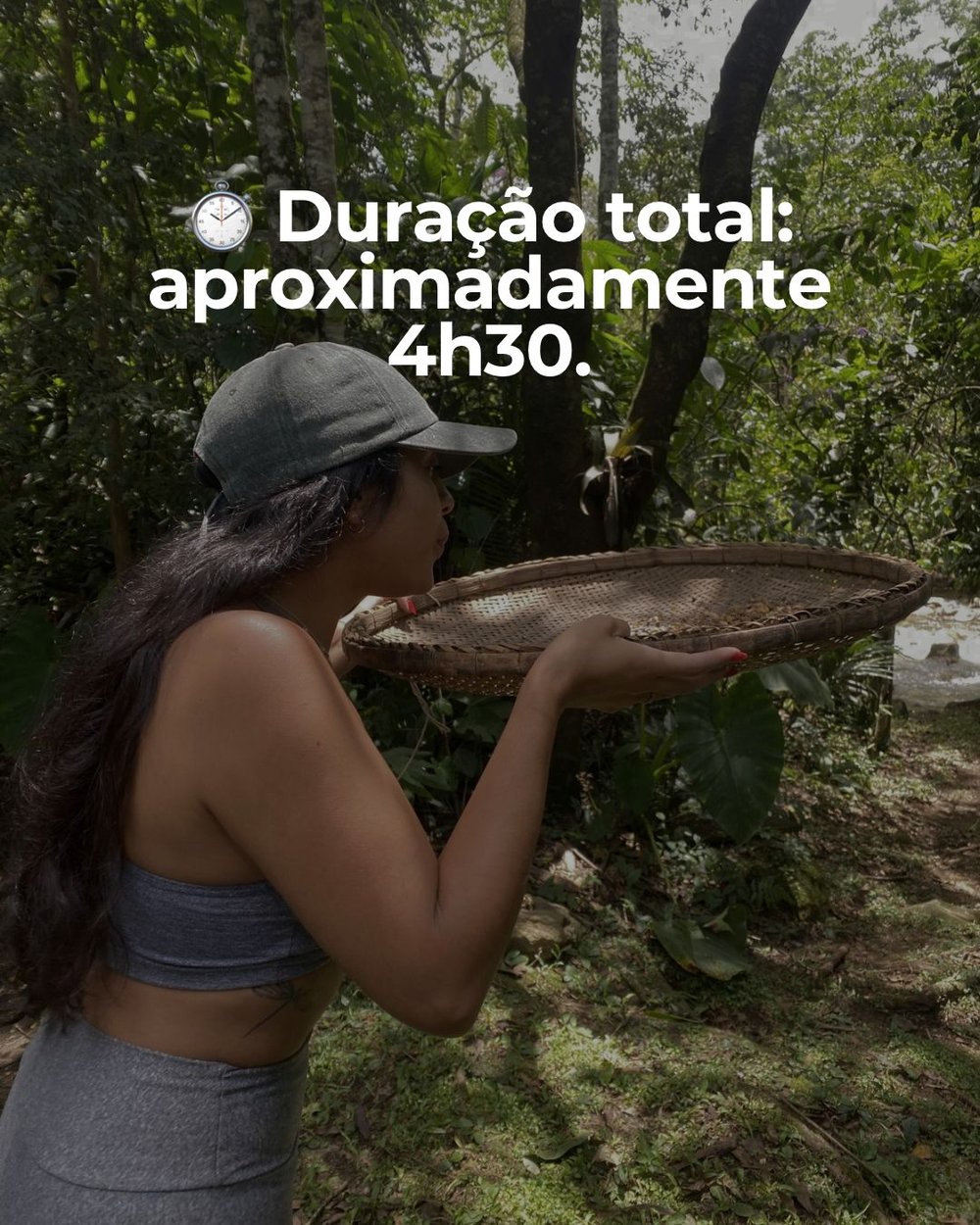 Trilha do Sitio Alma da Mata (Almoço Incluso), Sana, Macaé RJ