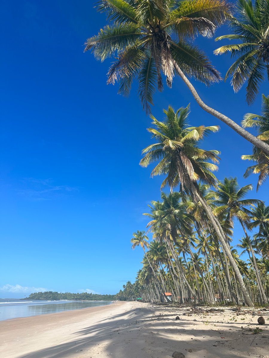 Belezas naturais da Praia da Cueira, uma das paradas do roteiro UTV Ecológico 3 para conhecer diferentes paisagens de Boipeba.