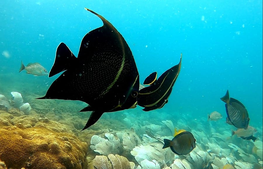 Mergulho de Cilindro