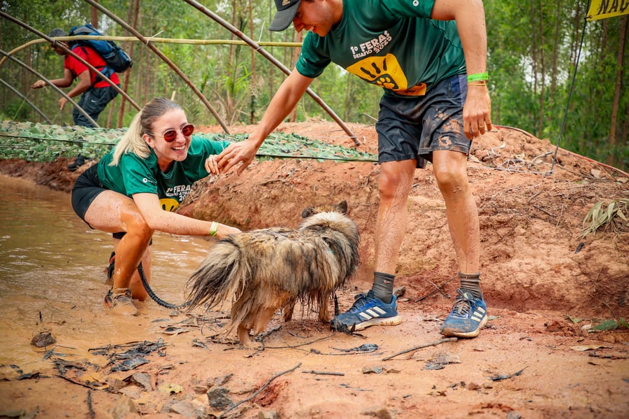 Desafio Feras Pet Friendly