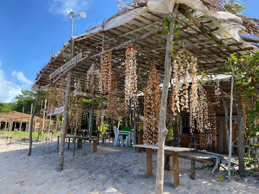 Percurso entre coqueirais durante o passeio de UTV em Boipeba, seguindo por diferentes regiões e praias da ilha.