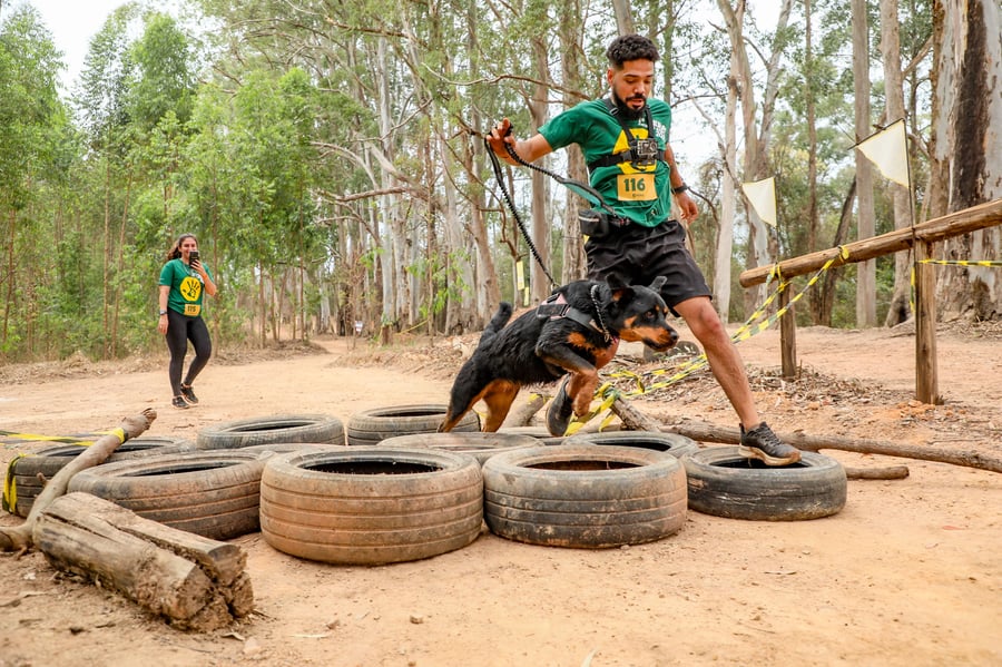 Desafio Feras Pet Friendly