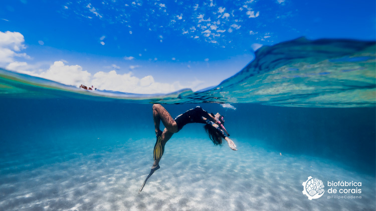 Ensaio fotográfico nas piscinas naturais em Porto de Galinhas