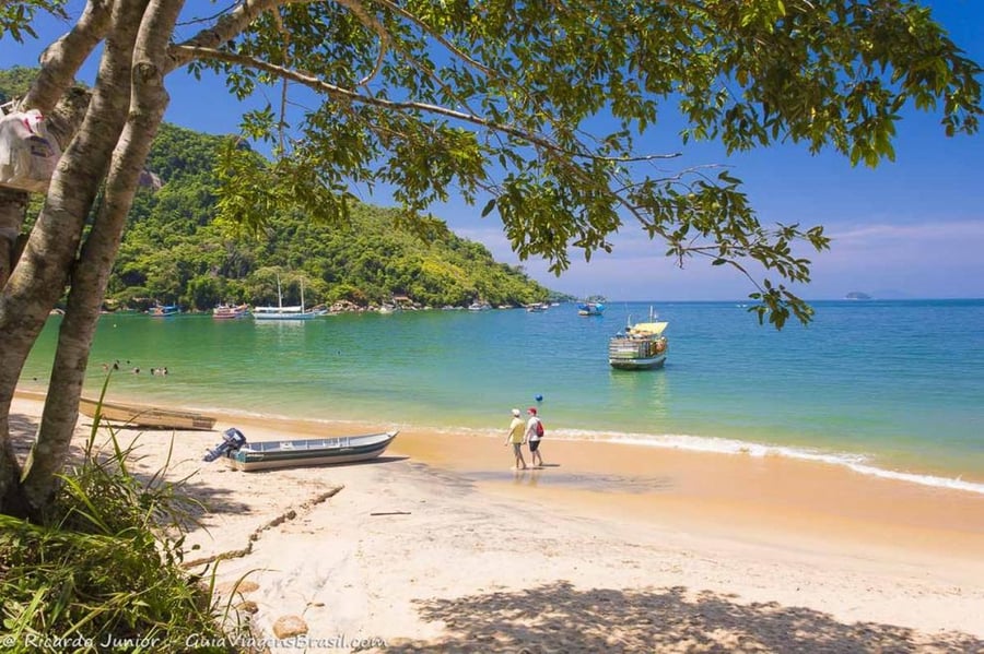 Ilha das Couves