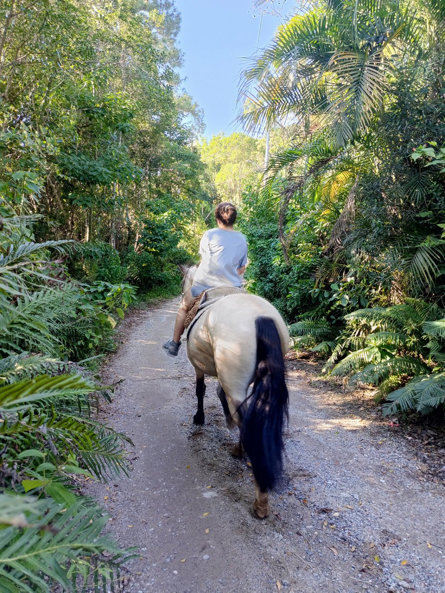 Fauna e Flora local no passeio eqüestre