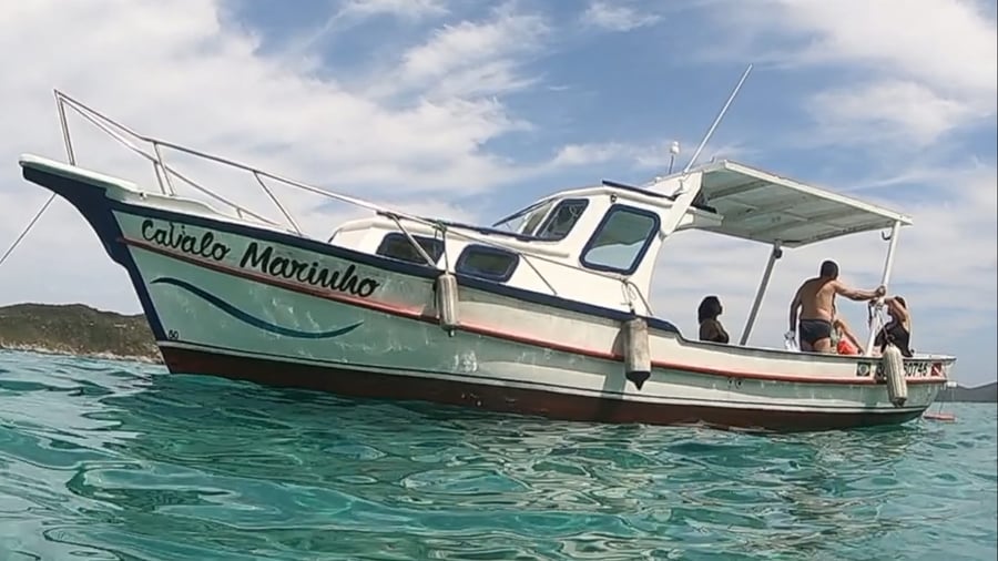 Barco Cavalo Marinho
