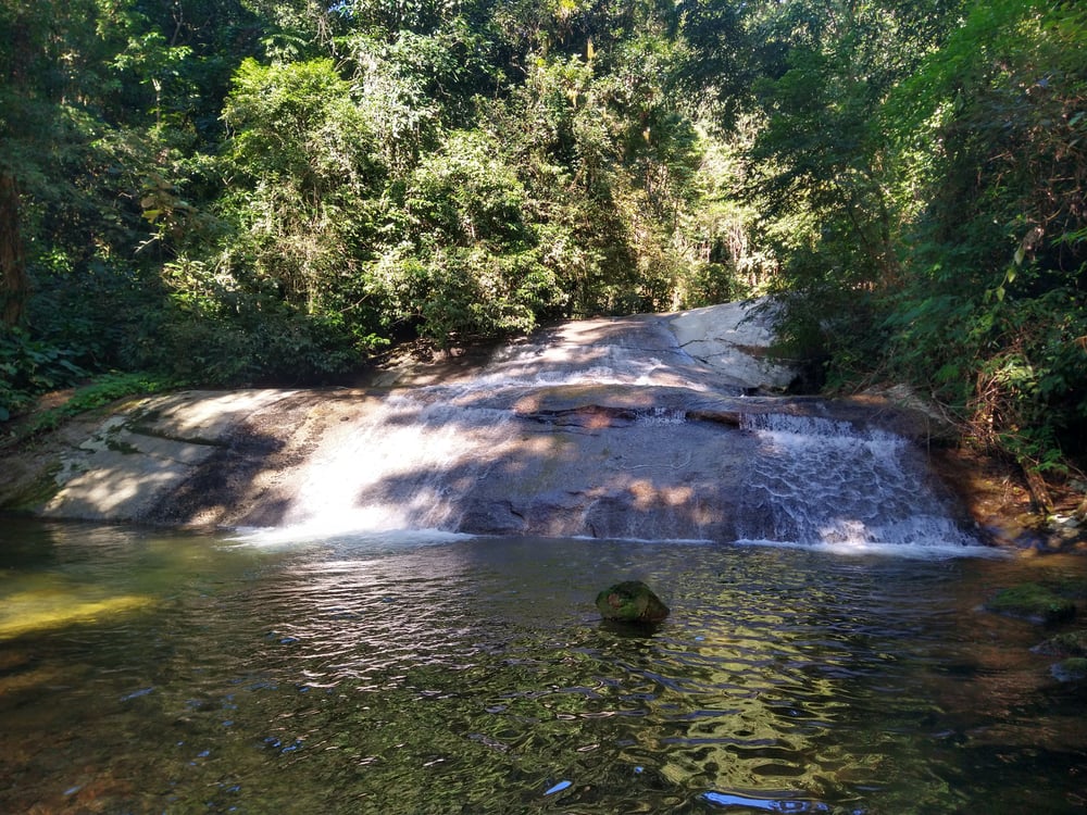 Poço do Jequitibá - Trilha D'água Branca