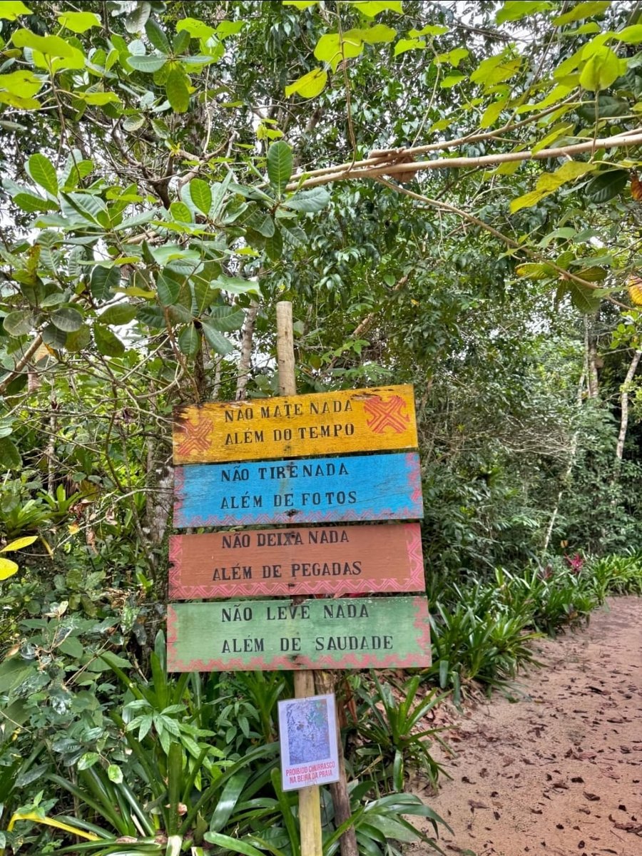 Passeio de Jipe em Paraty
