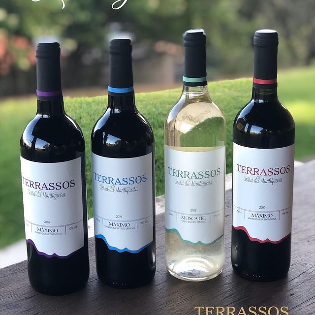 VINÍCOLA TERRASSOS - ACESSO E DEGUSTAÇÃO DE VINHOS