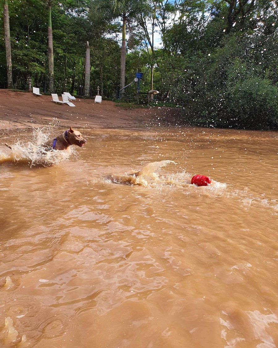 Day Use Hotel Fazenda Parque dos Sonhos