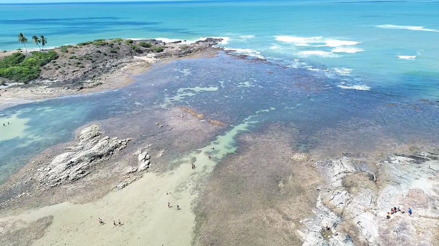Ilha de Santo Aleixo