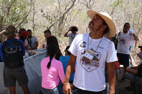 Festividades e seu poder de manter viva a cultura local e fortalecer a identidade comunitária