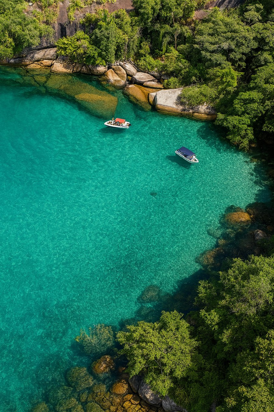 ILHA DOS COCOS 