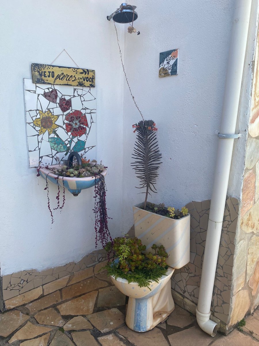 Foto: Sempre Viva