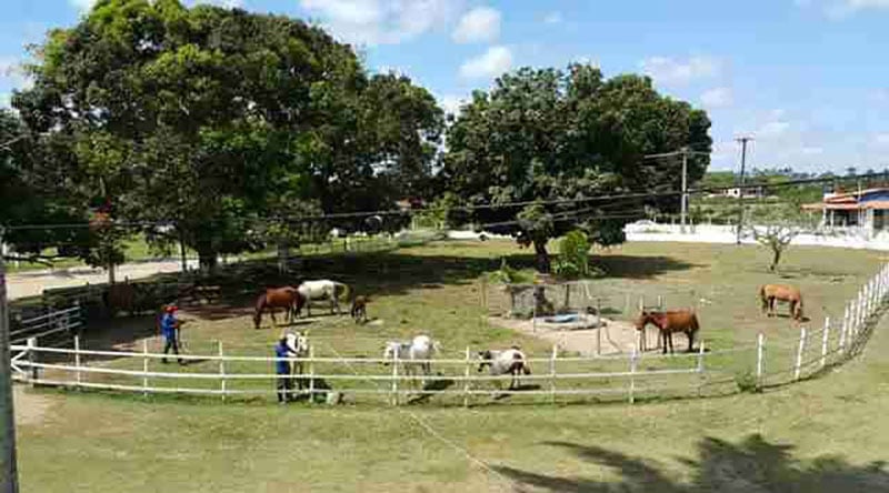 Day Use Hotel Fazenda Guimarães – Amélia Rodrigues/Ba