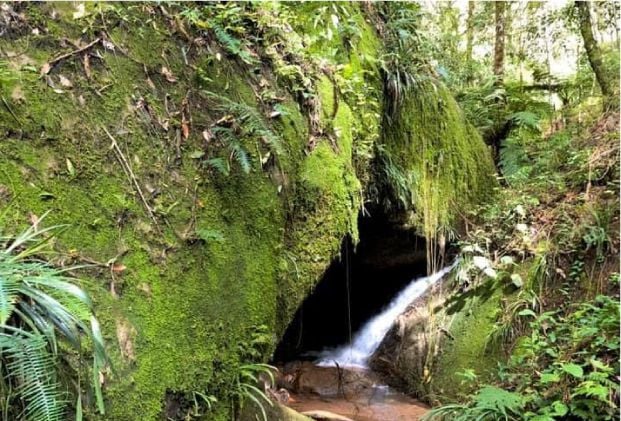 Entrada - Parque Oschin