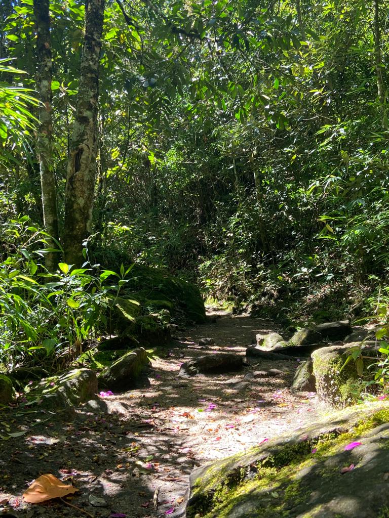 Entrada - Pedra Redonda