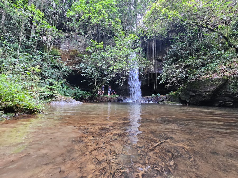 Safari do Macaco Doido em São Bartolomeu