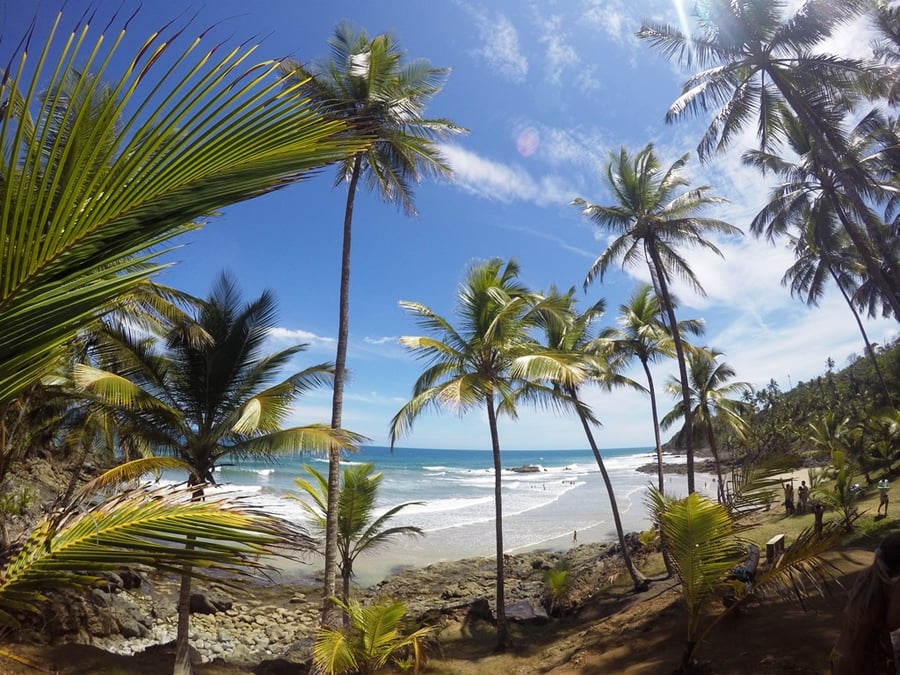 Itacaré + Tijuípe + Ilhéus