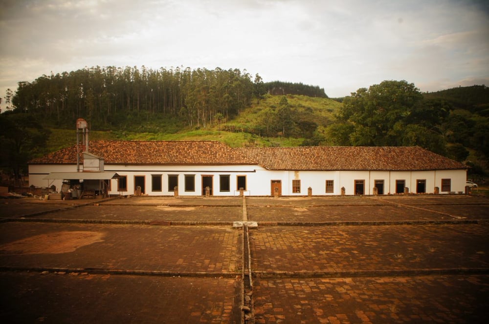 Visita Fazenda Atalaia - Passeio histórico: do café ao queijo