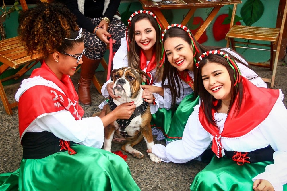 Festa do Morango Monte Alegre do Sul