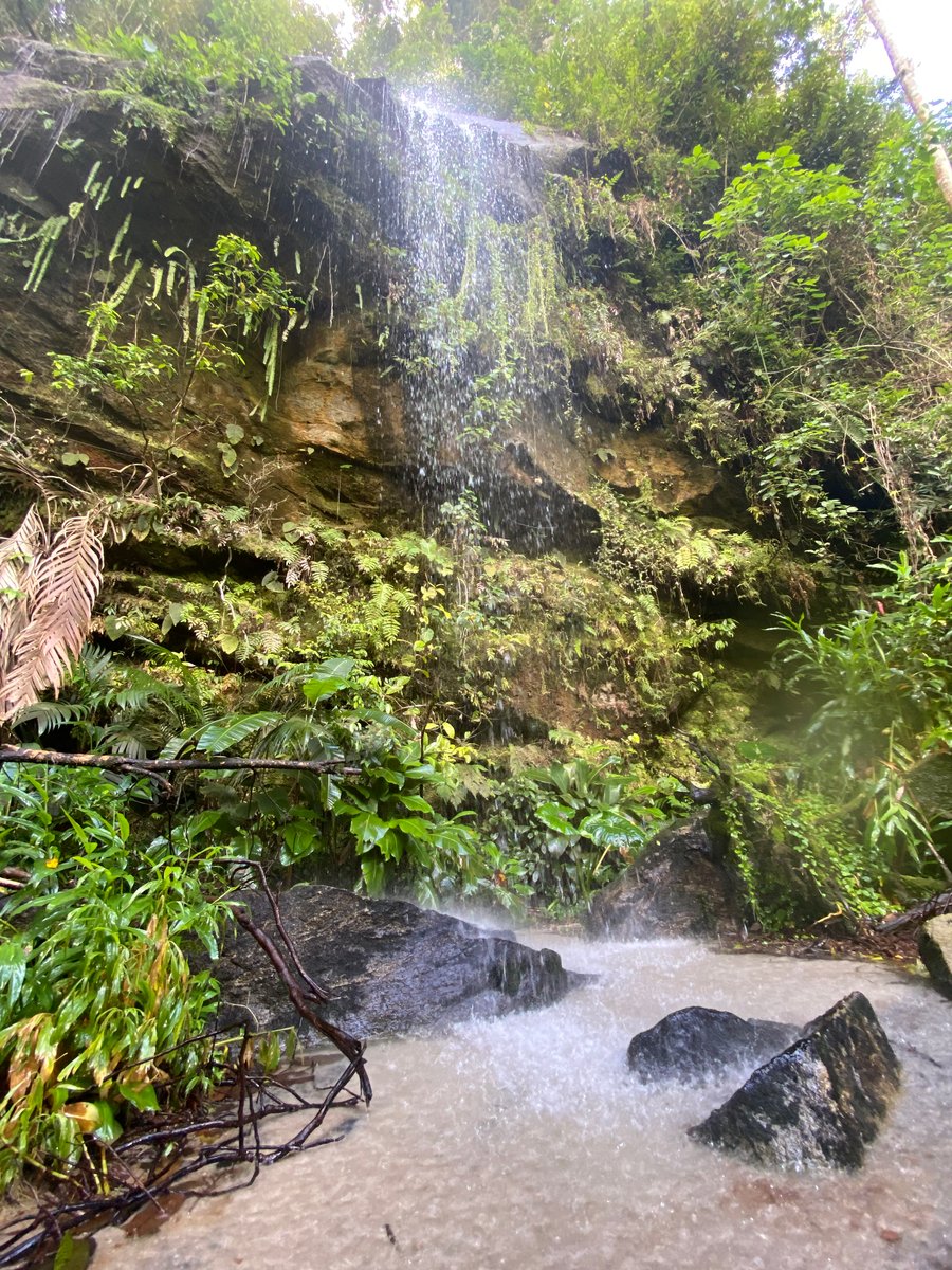 Cachoeira da Feiticeira 