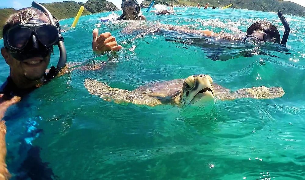 Mergulho Snorkel