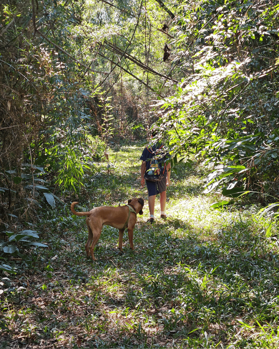 PedraGrande_petfriendly 4